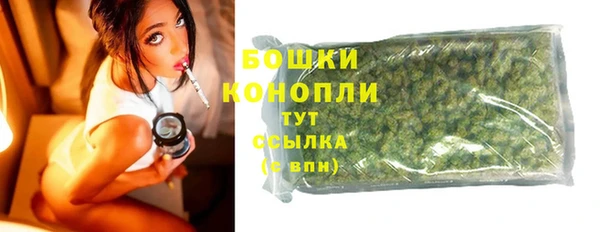 дурь Краснослободск