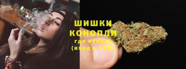 дурь Краснослободск