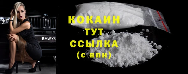 дурь Краснослободск