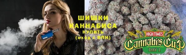 дурь Краснослободск
